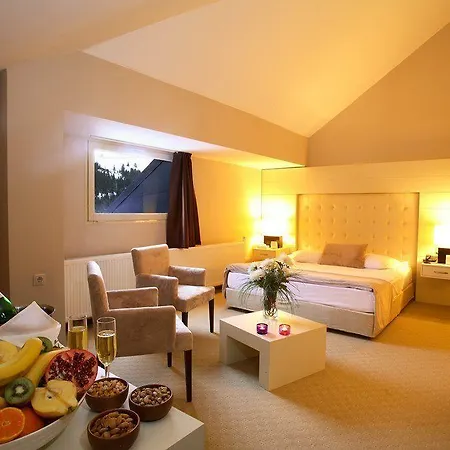 酒店 Monte Baia Uludag 伯萨