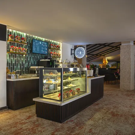 酒店 Monte Baia Uludag 伯萨